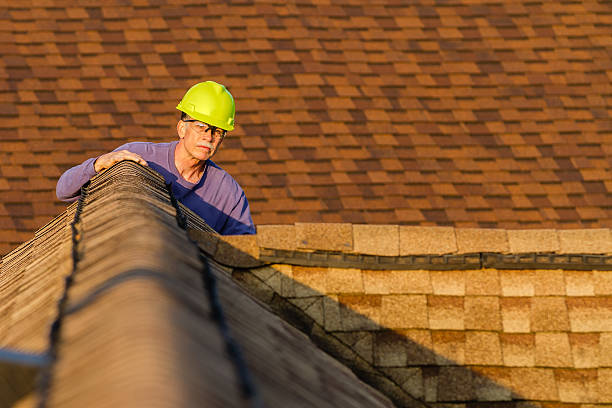 Best Roof Leak Repair  in Chesterton, IN